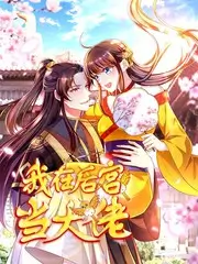 城市漫游者 综艺节目免费观看